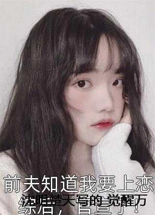 与君aa大结局