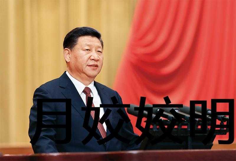 家兄唐太宗免费阅读